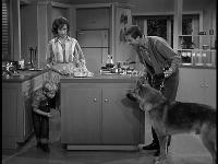 Click to watch 'The Unwelcome Houseguest...' (popup) The Dick Van Dyke Show